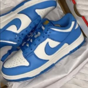 Meet your Posher, Dino